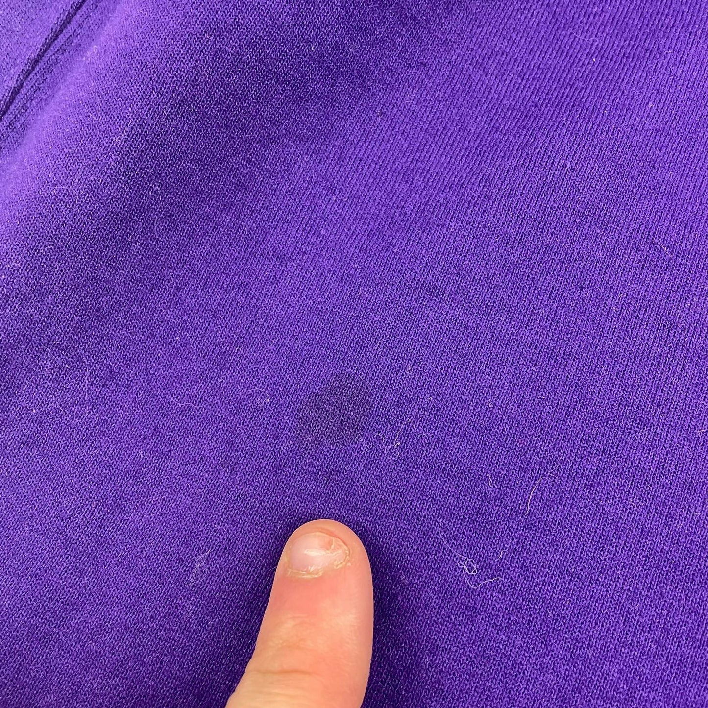 Champion Sweatpants Jogger Style Purple Womens Small