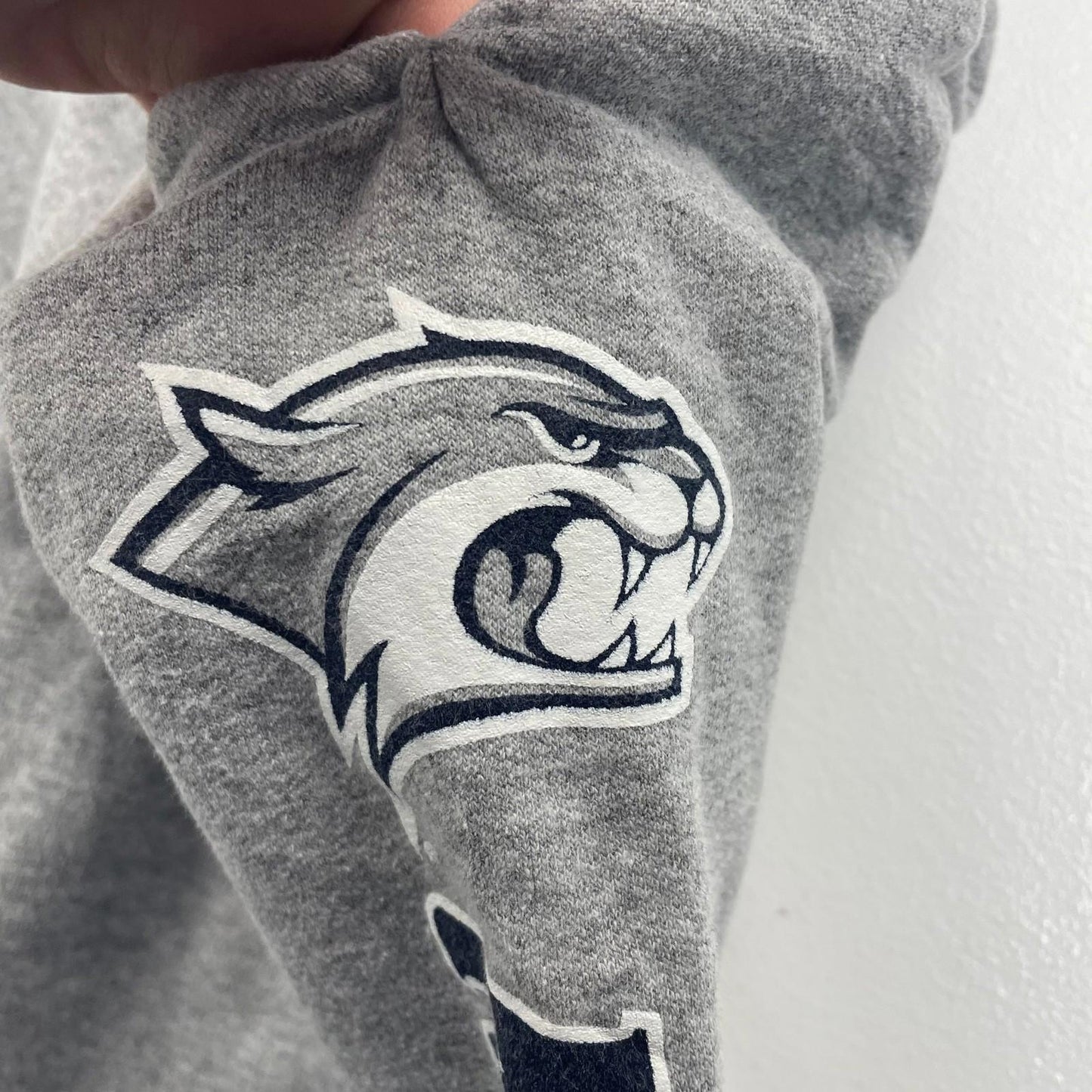 CHAMPION Authentic Jogger Sweatpants New Hampshire Graphic Grey Mens S