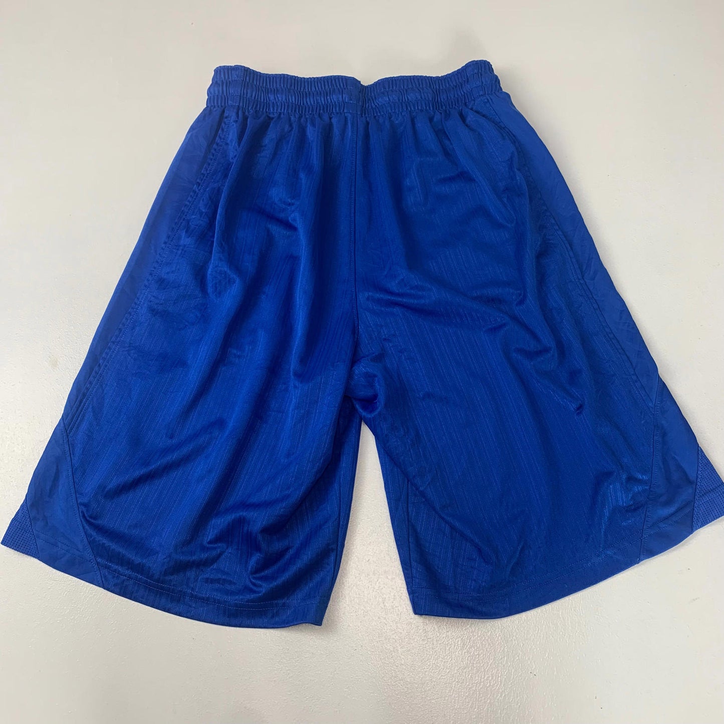 Men’s NIKE Blue Sport Shorts / Large