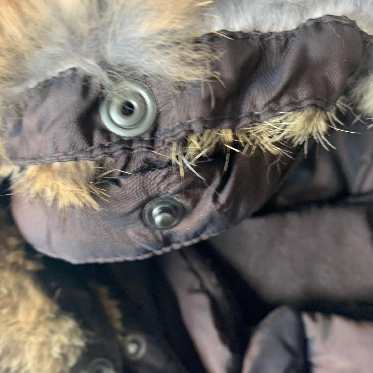 Women’s LACOSTE Puffer Jacket / Metallic Brown / Size 36 / Uk 8 / Removable Hood